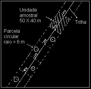 33 Morro do Campista Figura 1 Localização da área de estudo e esquema representativo de trilha com unidade