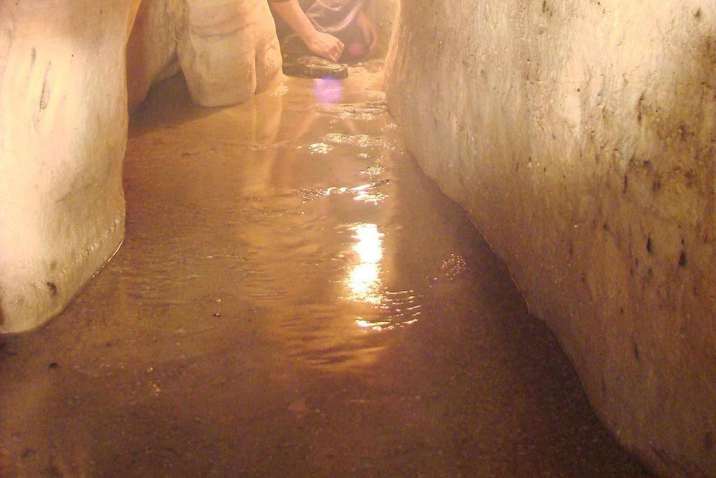 Nessa cavidade, foram observadas crostas compostas por material ferruginoso que denunciam uma variação climática.