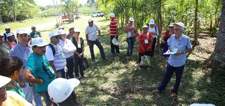 seminários sobre Sistema Plantio Direto, Recuperação de Áreas Degradadas e Sistemas Agroflorestais, com destaque para a Integração Lavoura-Pecuária-Florestas (ilpf) nos estados do Acre, Amazonas,