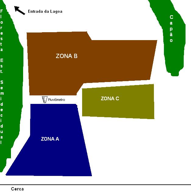 Figura 01 Croqui da área onde foi realizado o reflorestamento evidenciando as zonas de plantio.