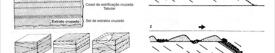 Seqüências Devoniana e Eocarbonífera da Bacia do Parnaíba, Brasil, como análogos... 46 3.2.