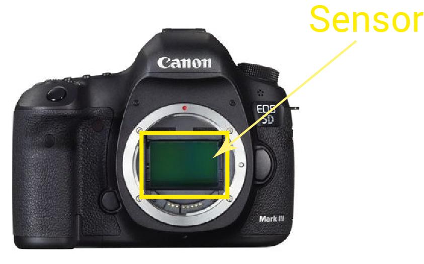 Tecnologia Sensor de Imagem O sensor de imagem é a tecnologia que substituiu o filme, ele fica no mesmo lugar que o filme ficava e detém a mesma função: Captar a imagem.
