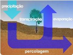 Necessidade de informações para melhoramento do manejo no campo; Carência de software (livre) que realizam o Balanço