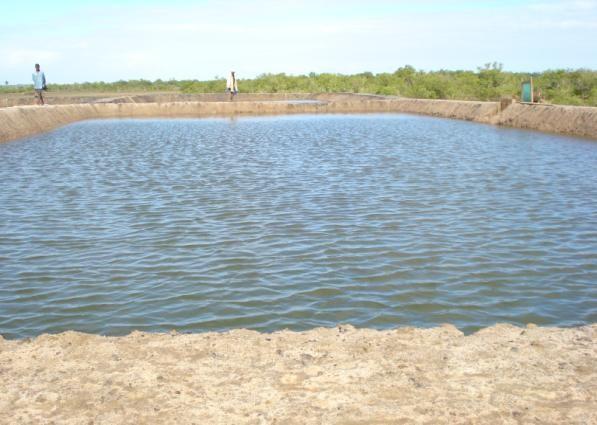 Tanque com 15x40m Manutenção do tanque Propriedade do Ser Ojama Ussene A unidade dista a 13 quilómetros do município possui uma área de 6 hectares.