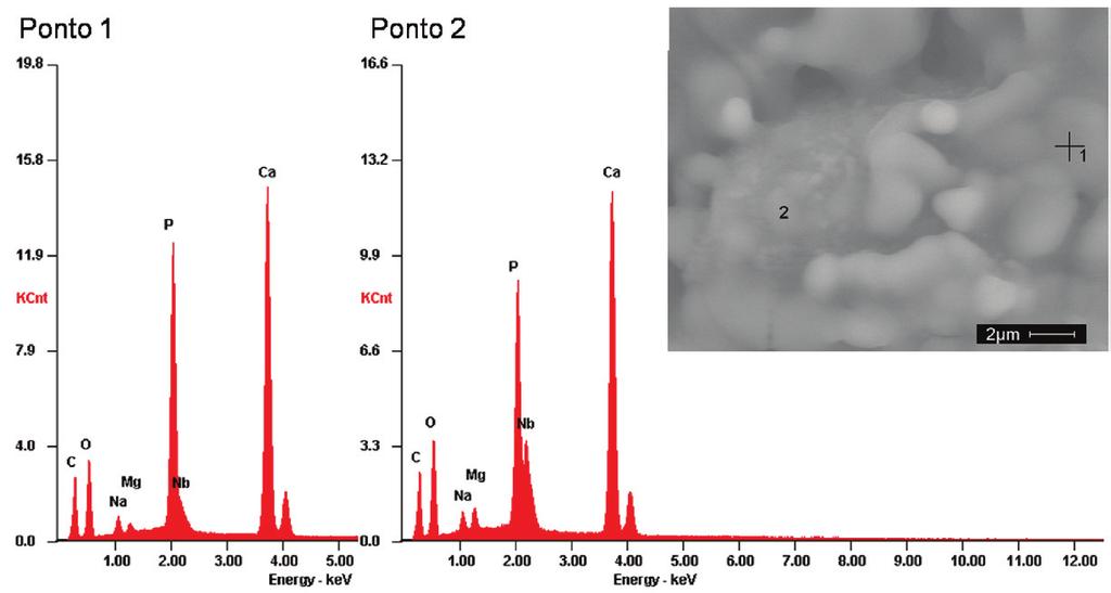 A presença do pico do nióbio no espectro de EDS é um indicativo que estas regiões são regiões ricas em nióbio,