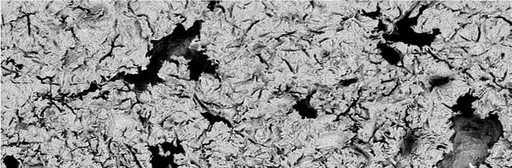 (c) (d) Figura 5: Microscopia das superfícies dos corpos de prova após 30 dias de imersão nos diferentes fluidos (a) água do mar; (b) óleo; (c) óleo e água do mar 20%; óleo e água do mar 50%