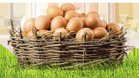 Dia Mundial do Ovo 09 de Outubro Dia Mundial do Ovo tem como objetivo celebrar o produto e os produtores dos mais nutritivos e
