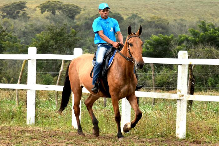 24 Gávea do Monte Real Fêmea Nasc.: 15/11/2003 Vendedor: Haras Abreu O.P.