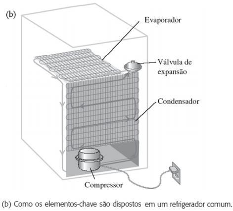 O refrigerador parte um princípio muito simples: se o calor não sai espontaneamente de um corpo frio para um corpo quente, nós vamos forçá-lo a sair!