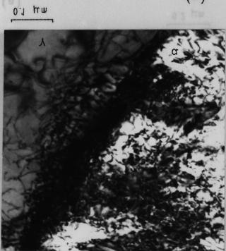 15 transformação por cisalhamento auxilia a nucleação de muitas ripas de ferrita bainitica (Pickering, 1967). A figura 3.