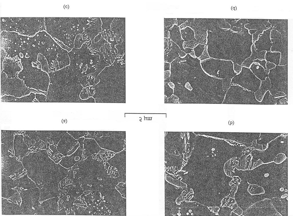 31 Durante um tempo de 30 minutos (figura 3.15a), a transformação da bainita foi praticamente completa e obtém-se então, uma microestrutura de bainita e de ferrita.