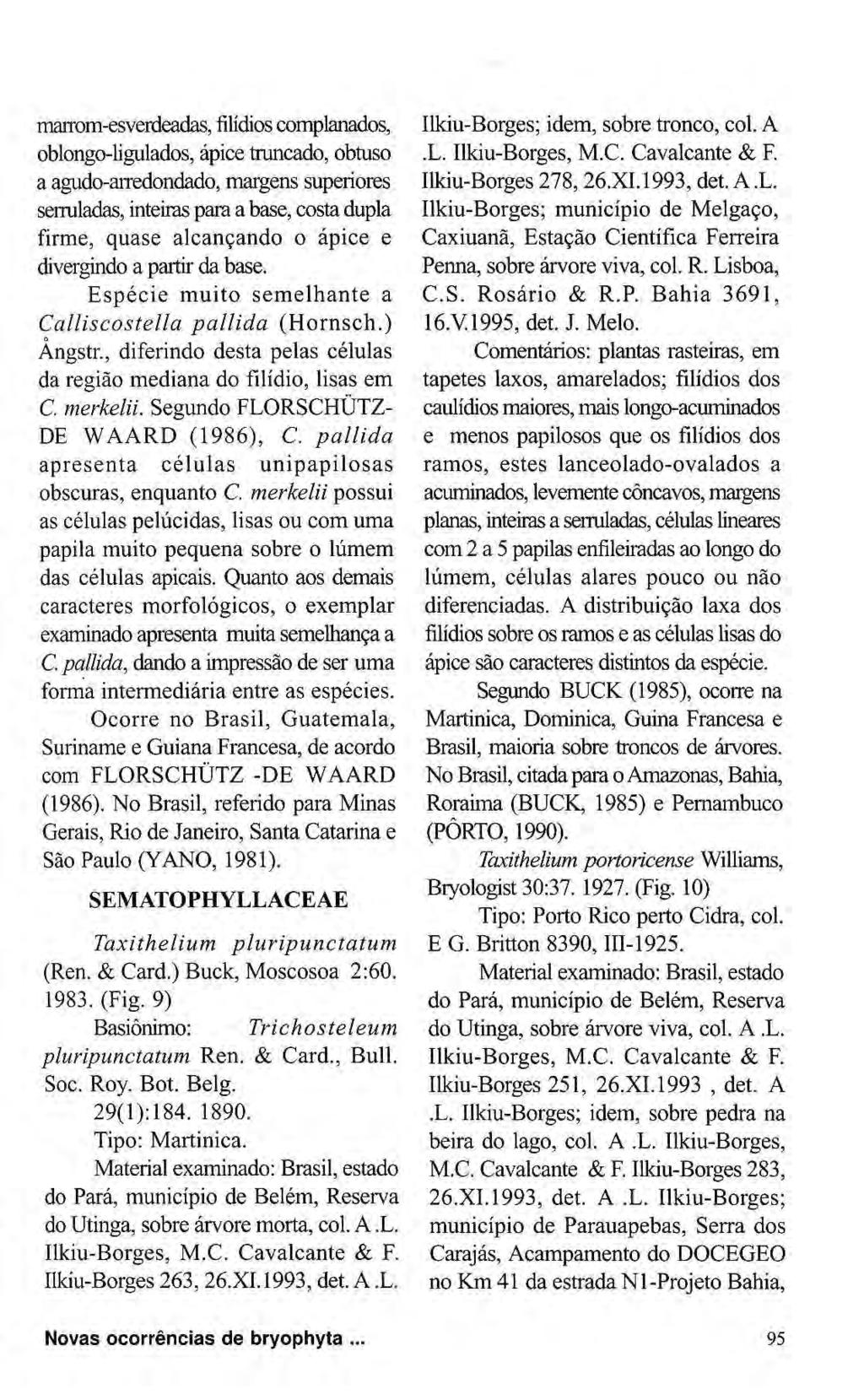 marrom-esverdeadas,filídioscomplanados, oblongo-ligulados, ápice truncado, obtuso a agudo-arredondado, margens superiores serruladas, inteiras para a base, costa dupla firme, quase alcançando o ápice