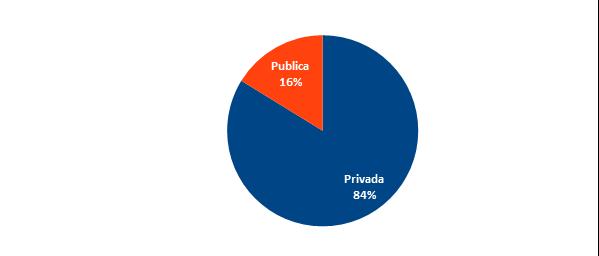 PERFIL DO ESTUDANTE NO ESTADO DE SÃO PAULO Gráfico 1 - Administração das Instituições