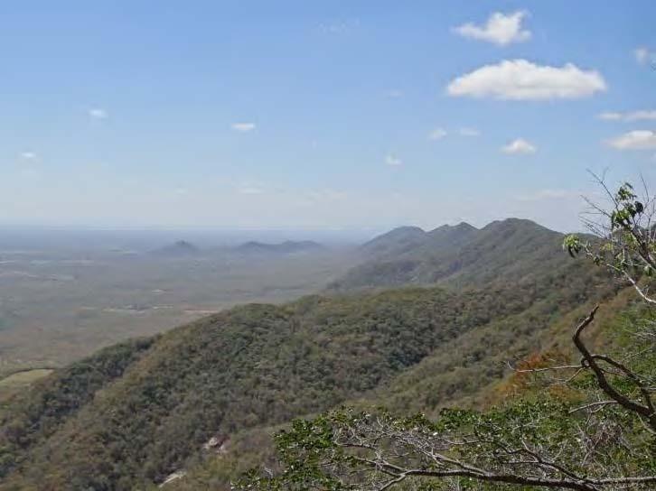 (2003), possui uma biota vegetal de elevada importância biológica. Pode-se observar, no brejo de altitude, uma variação fitoecológica que reúne desde Caatingas a Floresta Estacional Decidual.