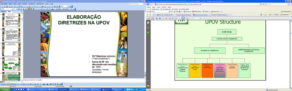 ELABORAÇÃO DIRETRIZES NA UPOV 257 Diretrizes adotadas ( Test Guidelines )