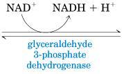 6º: oxidação do gliceraldeido 3 P Enzima:
