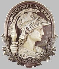 Breve (e recente) histórico da Graduação em Saúde Coletiva Universidade Federal do Rio de Janeiro Centro de Ciências da Saúde Núcleo de Estudos de