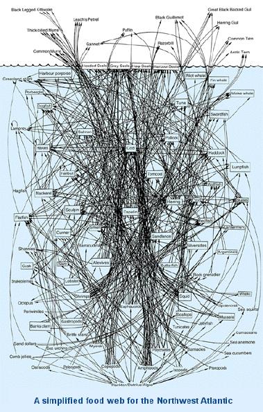 Redes Complexas: