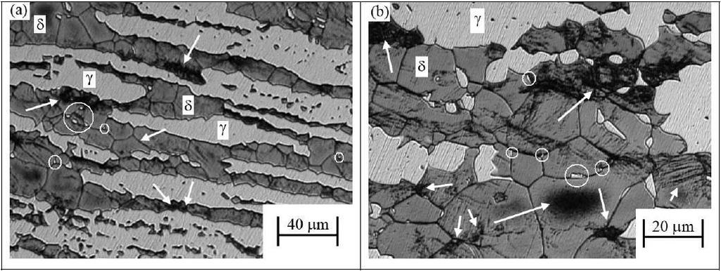 Figura 3. Micrografias do material SD-A envelhecido a 475 o C por 500 horas Figura 4.