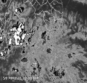 FIGURA 1: Continuação FIGURA 2: Linhas de corrente, prevista (RAMS) e obesrvado (média entre 1000 e 925 hpa) no dia 24/04/97 às 09:00 h local.