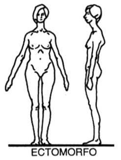 músculos) e ectomorfo (menos gordura), conforme estudos de Sheldon (1940) apud Rosa (2009).