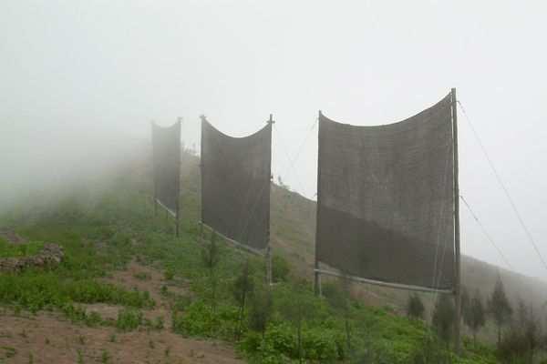 Chile 1. Utilização da água do nevoeiro Omã A água do nevoeiro captada por painéis de grande dimensão é, posteriormente, utilizada para: 1.