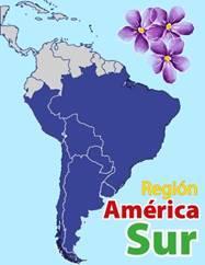 América Sul Iniciativas da Missão relativas às pessoas Implementação de um Noviciado regional. Projeto desenvolvido em 2016, data de início do Noviciado: em 2017.