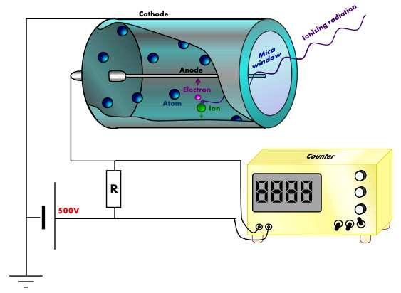 DETECÇÃO CONTADOR GEIGER (& CONTADOR PROPORCIONAL) Instrumento muito utilizado até hoje; Mede a corrente causada pela ionização causada pela interação da radiação com o gás; Problemas: A amplificação