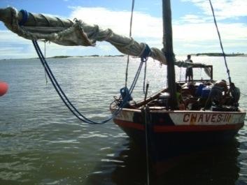 As canoas e botes diferem quanto ao convés e porão, que estão presentes apenas nos botes.