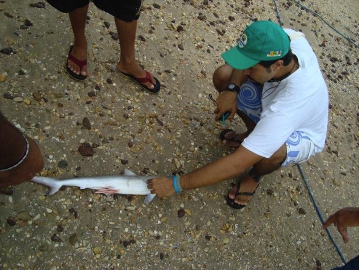 registradas as seguintes informações sobre a atividade de pesca: (1)