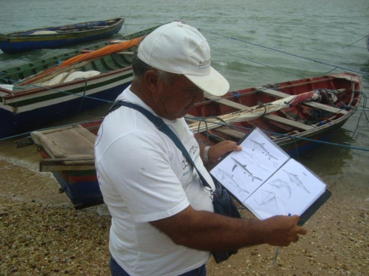 A partir disso, os dados eram tomados diariamente no porto de pesca das embarcações artesanais.