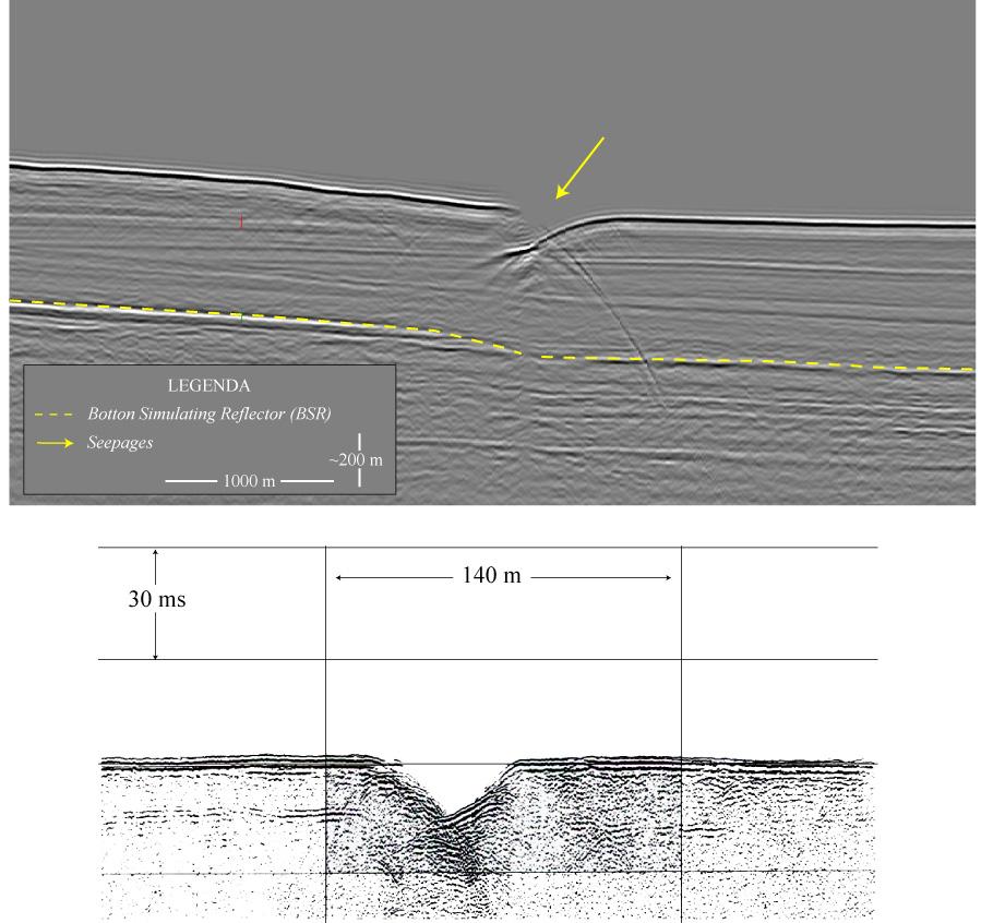 Rosa et al. 113 Figura 4. A seção sísmica superior representa um exemplo de seepage da área de estudo.
