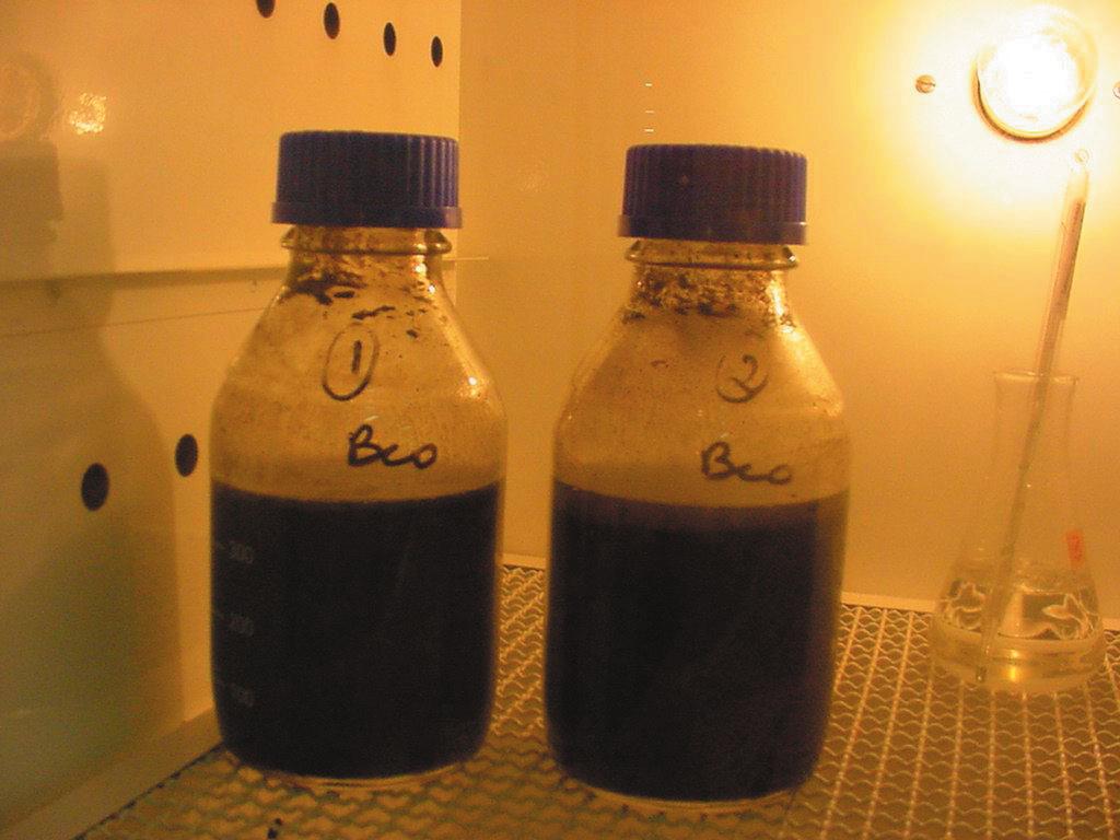 o 20 ml de lodo secundário = 0,35 gramas. o 27 ml de água destilada, equivalente ao volume de lodo de ETA. Assim o volume total dentro do frasco de incubação para a prova em branco foi de 0,327 L.
