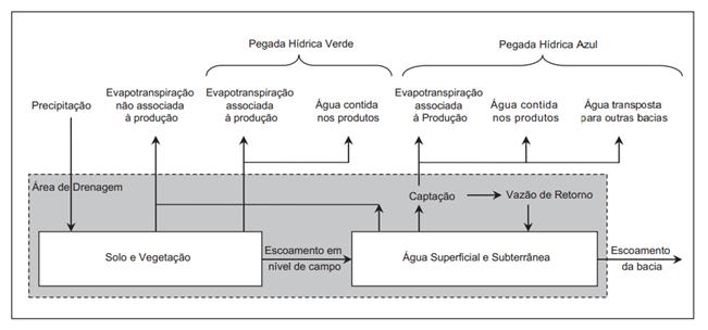 Pegada verde é o volume de água da chuva evaporado ou absorvido pelo produto; e Pegada cinza é o volume de água necessário para diluir a poluição gerada na produção de determinado produto até