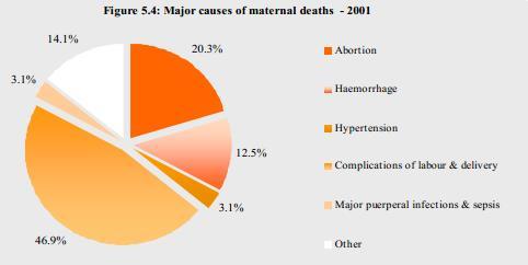 Gráfico 15 Motivos das mortes maternas - 2001 - Fonte: Sri Lanka (2008).