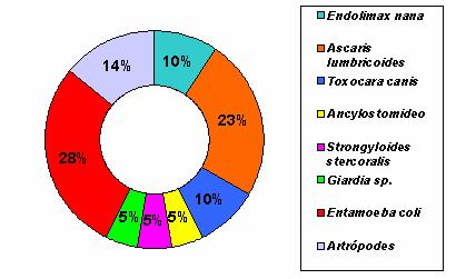 11 Gráfico 7 - Prevalência de enteroparasitas nas 10 amostras de agrião adquiridas em Feiras Livres. Tabela 6 - Prevalência de enteroparasitas nas 10 amostras de acelga adquiridas em Feiras Livres.