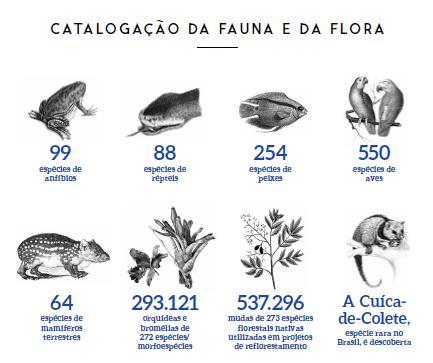 FASE DE LICENCIAMENTO E IMPLANTAÇÃO LIÇÕES APRENDIDAS Envolver mais as universidades locais como forma de promover e divulgar o conhecimento do trabalho de campo para acadêmicos,