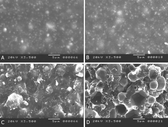 Resultados 65 Figura 10. Fotomicrografias das superfícies externa e interna do cimento AH Plus antes e após o teste de solubilidade.