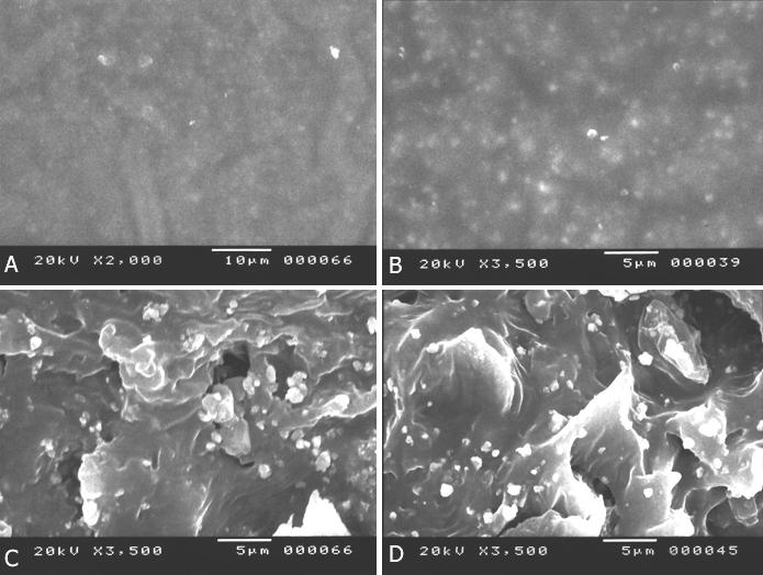 66 Resultados Figura 11. Fotomicrografias das superfícies externa e interna do cimento GuttaFlow antes e após o teste de solubilidade.