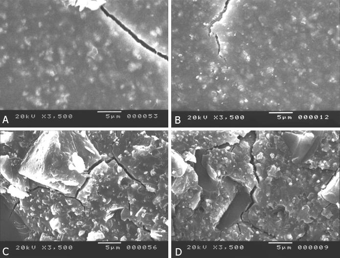 68 Resultados Figura 13. Fotomicrografias das superfícies externas e internas do cimento Activ GP, antes e após o teste de solubilidade.