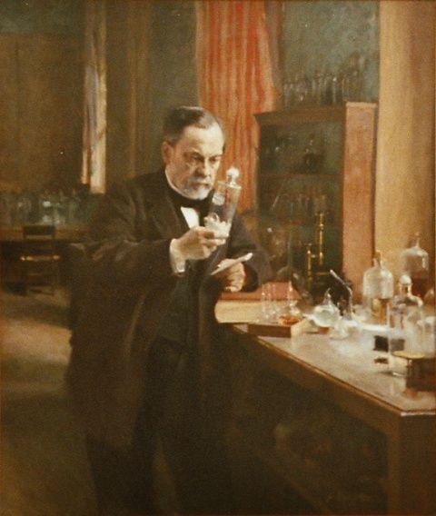 O início do Século XIX Teoria dos miasmas X Teoria dos germes Miasmas: má qualidade do ar advindo da decomposição de material orgânico (Malária = Mal + ar) Germes: Louis Pasteur identifica e
