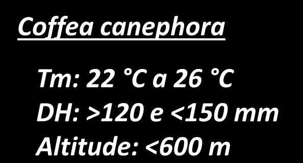 <120 mm Altitude: >800 m Coffea