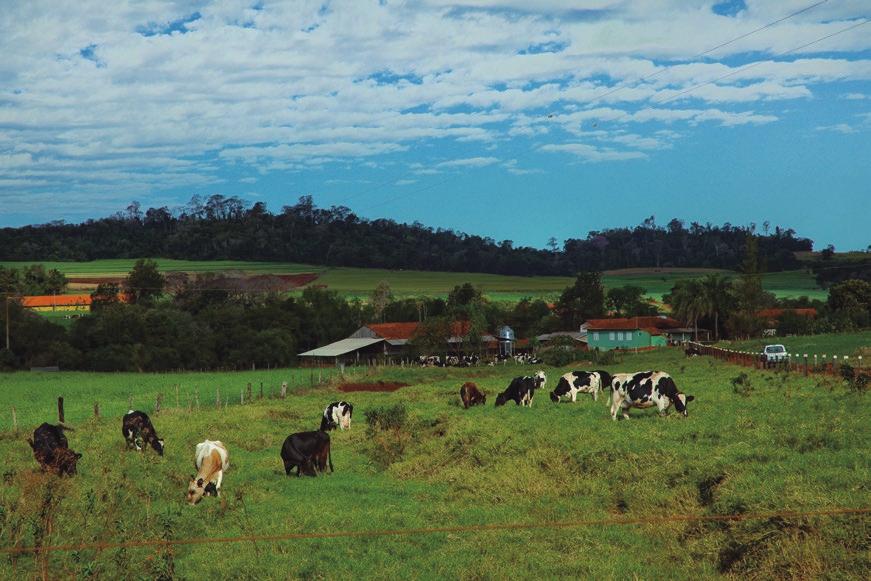 Condomínio de Agroenergia Ajuricaba O Condomínio de Agroenergia Ajuricaba apresenta resultados ambientais e de qualidade de vida para moradores da zona rural de Marechal Cândido Rondon