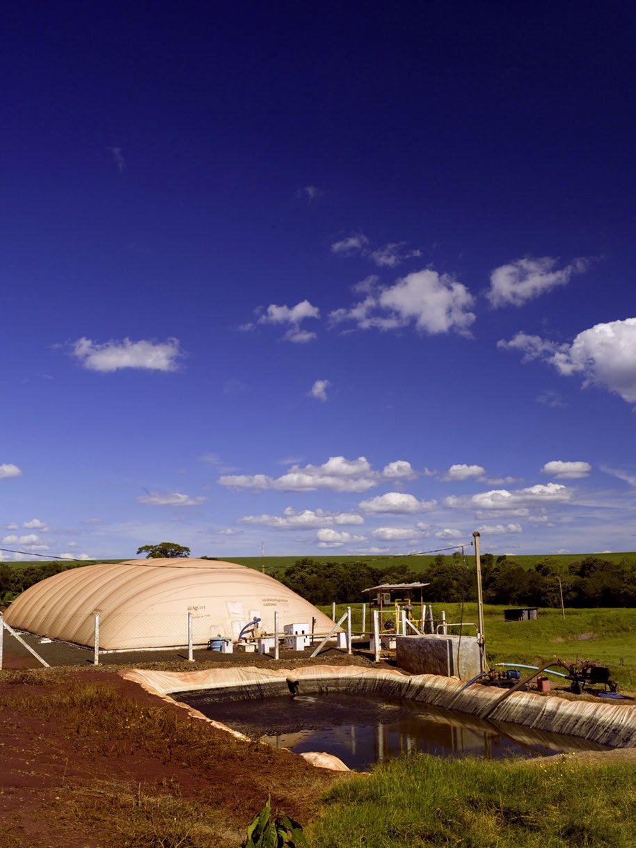A granja tem cinco mil um filtro de absorção com reação química em solução de Fe/EDTA. Em seguida, o biogás é aproveitado para geração de energia elétrica por meio de um grupo motogerador de 00 kva.