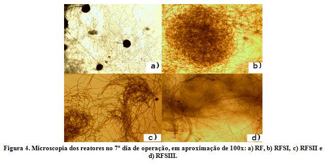 Belo Horizonte/MG 24 a 27/11/2014 CONCLUSÃO Foi observado que o fungo Aspergillus niger AN400 tem potencial para fermentar soro de queijo no intuito de produzir ácido cítrico e otimizar os resíduos