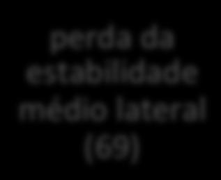 funcionais (68) perda da estabilidade médio