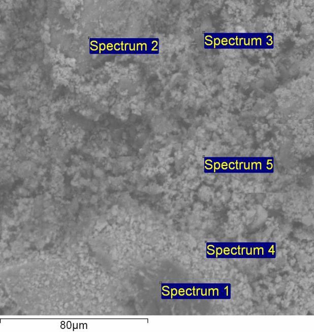 Figura 16 Localização das regiões submetidas a análise por EDS do material filtrado Spectrum O Al Si Fe Cu Total Spectrum 1 54.03 41.13 4.83 100 Spectrum 5 37.23 0.97 2.01 59.21 0.