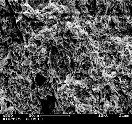 Large rounded pores surrounded by dense regions are seen.] Figura 9: Micrografia obtida por microscopia eletrônica de varredura de um corpo de prova da massa M0 queimado em 1050 C.