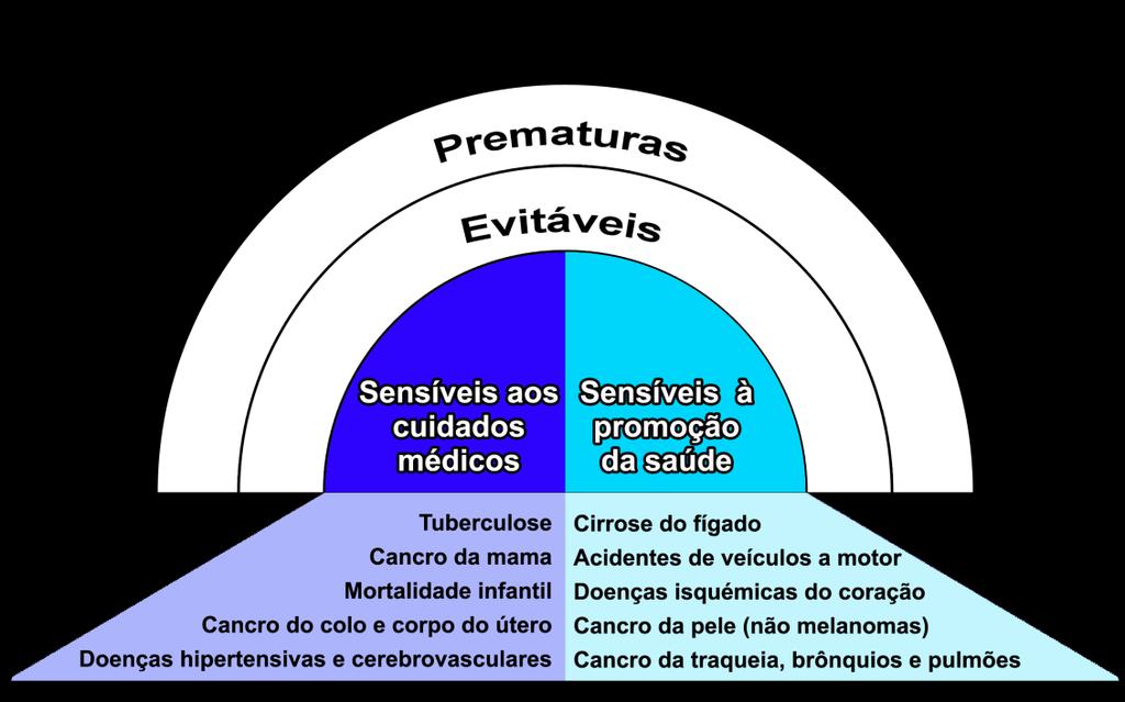 1 1. Introdução O conceito de mortes evitáveis foi desenvolvido no final dos anos 70 e princípio dos anos 80 [1] [2], sendo estas consideradas como mortes teoricamente evitáveis através de