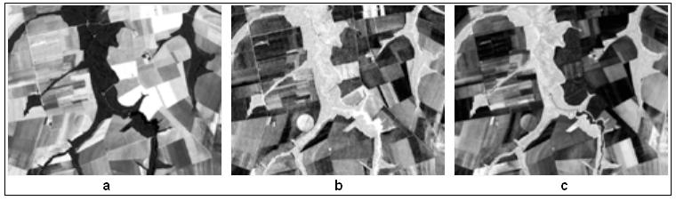 Embrapa Informática Agropecuária/INPE, p. 566-571 do MLME para o ano de 2006, com as frações solo, sombra e vegetação. Figura 2.